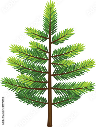 Green pine tree illustration with natural branches and detailed needles, perfect for forest, Christmas, holiday, and eco-friendly design