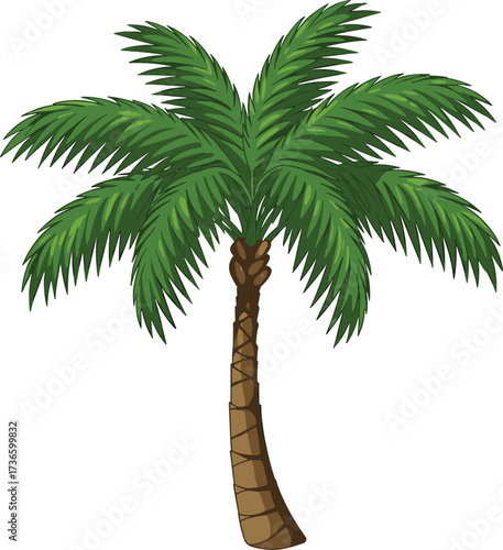Tropical palm tree illustration with green leaves and tall trunk, perfect for beach, summer, island, and vacation designs