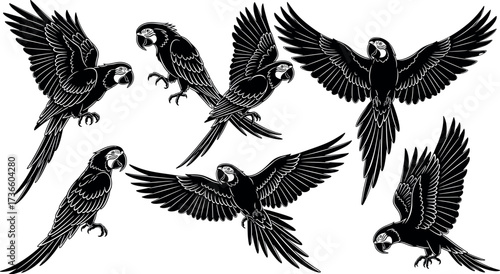 Black Parrot Silhouettes in Flight and Perched Positions with Detailed Wings, Tails, and Beaks for Ornithology and Design Use