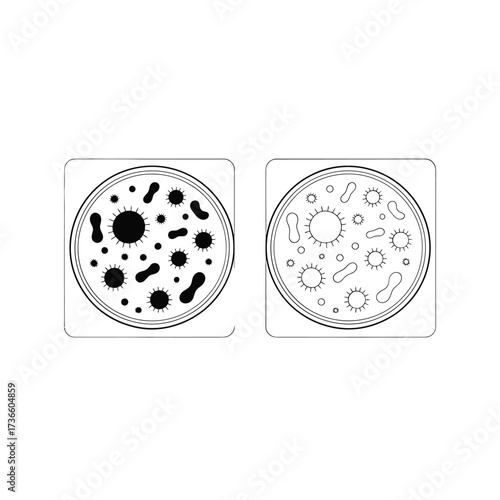 Microscopic view of two petri dishes with bacterial colonies and cells