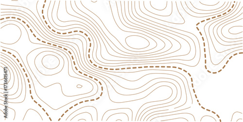 Abstract topo contour map on white background, Topographic map Topographic contour lines map seamless pattern. Geographic mountain relief diagram line wave carve pattern