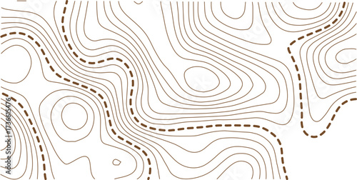 Abstract topo contour map on white background, Topographic map Topographic contour lines map seamless pattern. Geographic mountain relief diagram line wave carve pattern