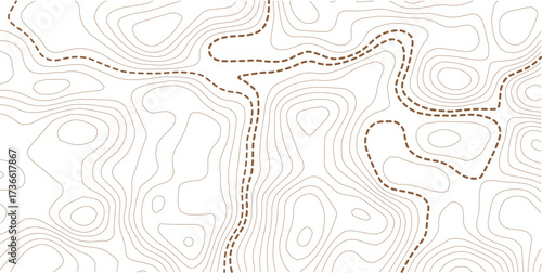 Abstract topo contour map on white background, Topographic map Topographic contour lines map seamless pattern. Geographic mountain relief diagram line wave carve pattern
