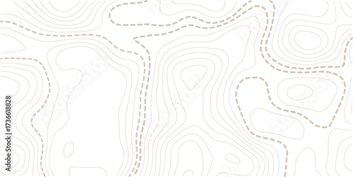 Abstract topo contour map on white background, Topographic map Topographic contour lines map seamless pattern. Geographic mountain relief diagram line wave carve pattern