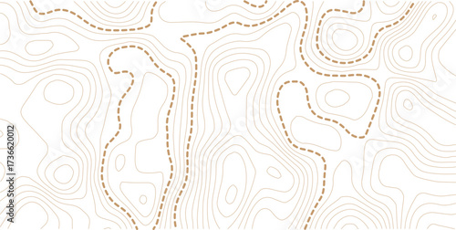 Abstract topo contour map on white background, Topographic map Topographic contour lines map seamless pattern. Geographic mountain relief diagram line wave carve pattern