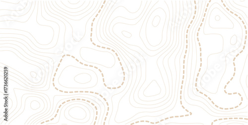 Abstract topo contour map on white background, Topographic map Topographic contour lines map seamless pattern. Geographic mountain relief diagram line wave carve pattern