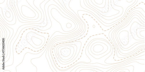 Abstract topo contour map on white background, Topographic map Topographic contour lines map seamless pattern. Geographic mountain relief diagram line wave carve pattern