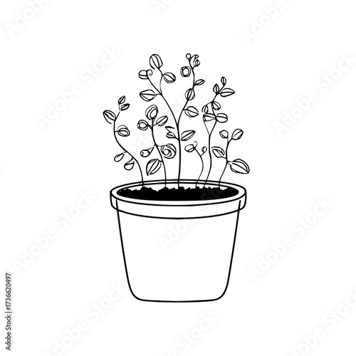 A simple line drawing of a potted plant with thin stems and small leaves against a white background
