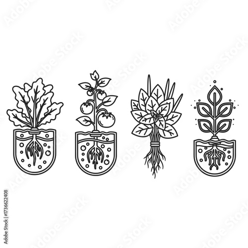 Line art illustrations of various plants, including leafy greens, tomatoes, and herbs, some showing roots in pots, representing gardening or hydroponics.