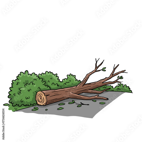 Fallen tree log with branches and leaves on the ground  