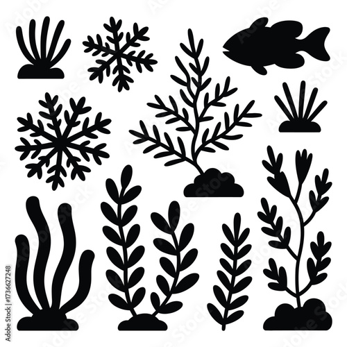 Silhouettes of ocean plants and a fish