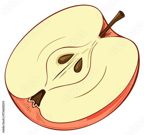 Cross-section of a red apple. Isolated image of the fruit sliced to reveal the inside details.