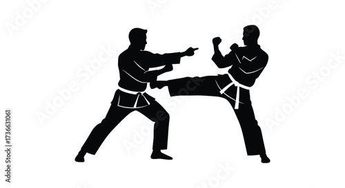 Dynamic martial arts silhouettes two fighters practicing combat moves intense action scene