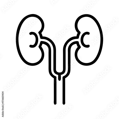 Kidney urology nephrology renal health urinary system medical anatomy human organ kidneys ureter bladder icon