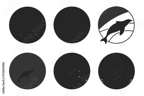 Minimalist aurora sky reflection icon set