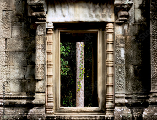 árbol otoñal en la ventana