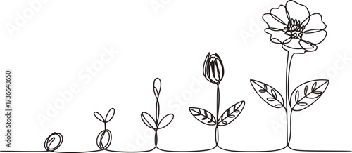 Single continuous stroke drawing of plant growth stages seed sprout
