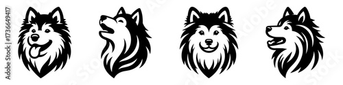 Modern Minimalist American Eskimo Dog Head Icon, Flat Silhouette of a Fluffy Pet Vector for Portrait Illustration Design