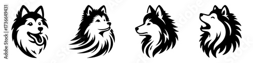 Modern Minimalist American Eskimo Dog Head Icon, Flat Silhouette of a Fluffy Pet Vector for Pet Portrait Illustration Design