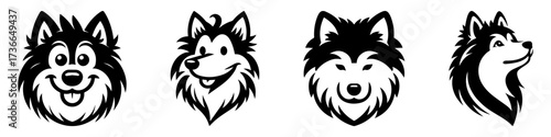 Modern Minimalist American Eskimo Dog Head Smiling Tongue Out Icon, Flat Silhouette of a Fluffy Pet Vector for Animal Illustration Design