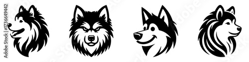 Modern Minimalist American Eskimo Dog Head Icon, Flat Silhouette of a Fluffy Pet Vector for Expression Illustration Design