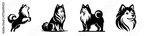 Modern Minimalist American Eskimo Dog Jumping Icon, Flat Silhouette of a Fluffy Pet Vector for Animal Illustration Design