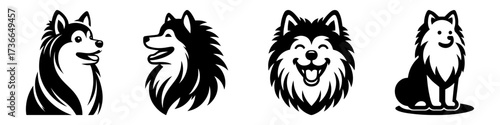 Modern Minimalist American Eskimo Dog Head Laughing Icon, Flat Silhouette of a Fluffy Pet Vector for Animal Illustration Design