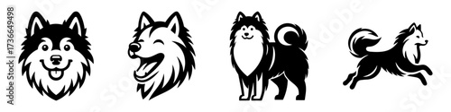 Modern Minimalist American Eskimo Dog Standing Icon, Flat Silhouette of a Fluffy Pet Vector for Animal Illustration Design