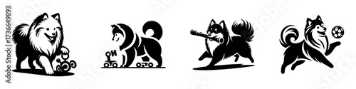 Modern Minimalist American Eskimo Dog Playing Toy Icon, Flat Silhouette of a Fluffy Pet Vector for Animal Illustration Design