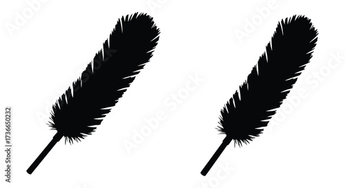 Two black feather silhouettes displayed on a clear white background