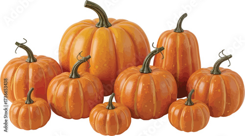 Group of various sized orange pumpkins isolated on a white background for fall decor