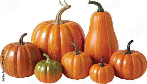 Assortment of pumpkins and gourds in various sizes and colors for fall harvest
