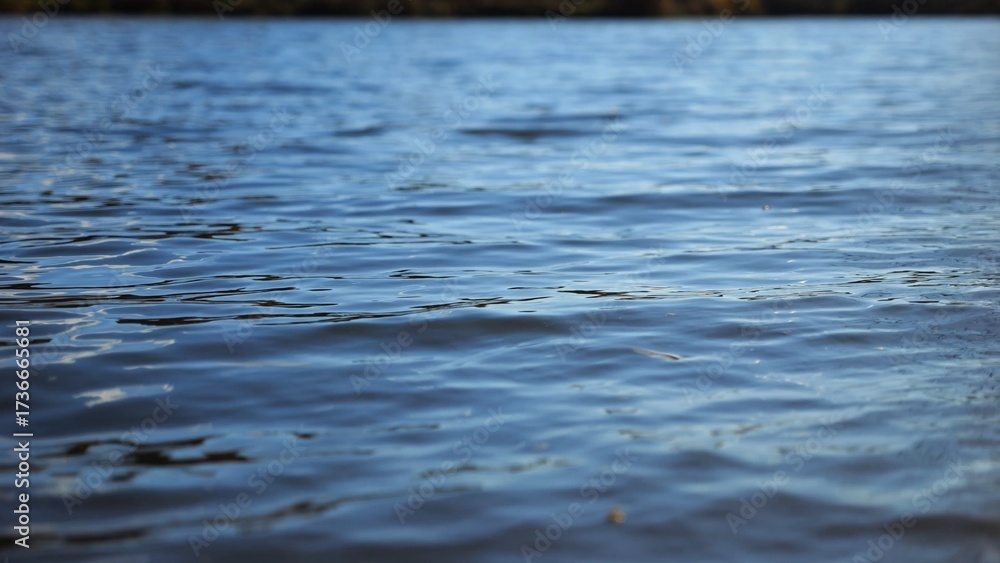Fototapeta premium Close up view on lake with small waves at sunny day. Calm scenery of pond at summer season. Beautiful nature landscape. Concept of tranquility scene. Slow motion