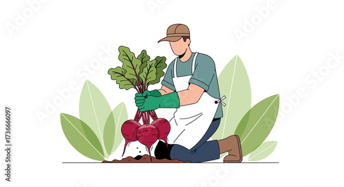 Farmer Harvesting Fresh Beetroots, Simple Illustration of Agricultural Labor and Effort