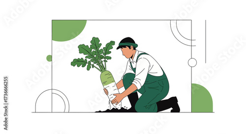 Farmer Harvesting Giant Radish In Garden, Agriculture Concept Depicting Fresh Produce