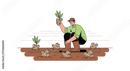 Farmer Planting Ginger Seedlings in Field, Agriculture and Cultivation Process Illustration