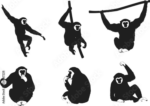 Gibbon silhouette set, primate animal vector, swinging ape illustration, wildlife poses, unique nature clipart design
