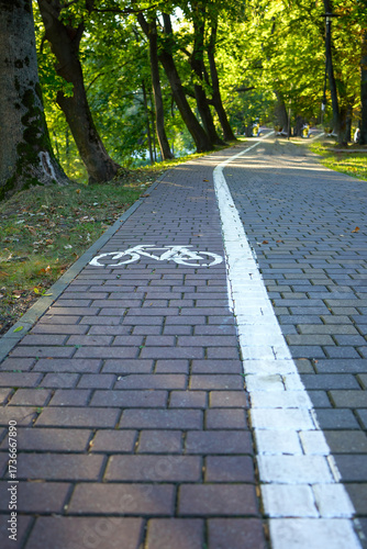 Road markings indicating the road for cyclists. Pedestrian path in the park on a sunny day. Image of a bicycle on the sidewalk. Traffic rules. Concept of cycling with family and friends. Traffic rules