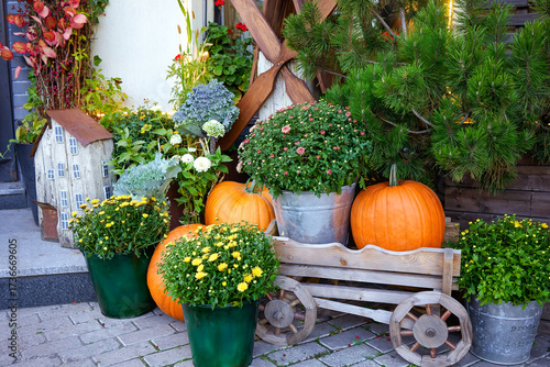 Beautiful autumn composition on the porch, pumpkins, potted flowers, wooden decorative house. Porch of a house with autumn flowers, big orange pumpkins, autumn postcard, space for a copy