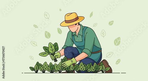Gardener Harvesting Organic Spinach from a Lush Garden with a Straw Hat and Apron