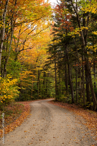 Dirt Gravel Path through Fall Foliage