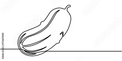 Continuous line drawing of cucumber, One single line sketch art concept of fresh food fruit and vegetable. Vector illustration editable stroke. 