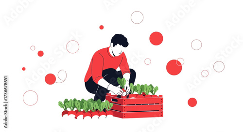 Harvesting Radishes: Vector Illustration of Fresh Produce and Agricultural Labor