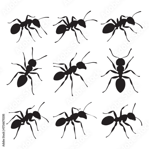 ant silhouette collection 3x3 vector icons set monochrome minimal insect clipart ai eps png jpeg