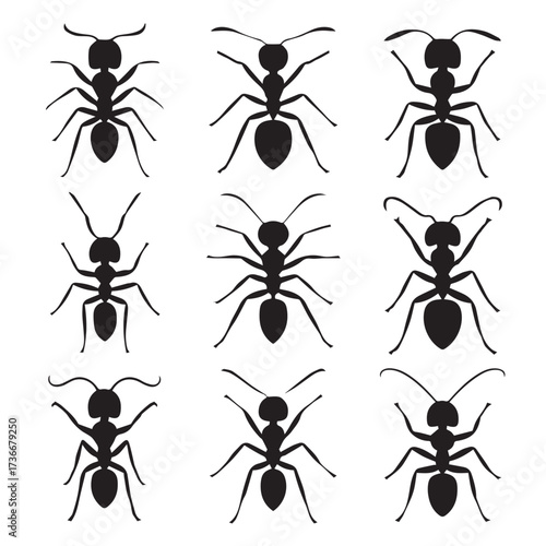 formicidae ant silhouettes grid vector artwork seamless pattern icons illustrations ai eps png jpeg