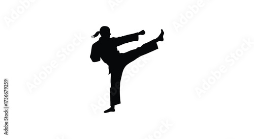 Dynamic silhouette of a woman performing a high kick in martial arts training