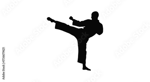 Dynamic silhouette of a martial artist performing a powerful side kick in mid-air