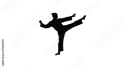 Dynamic silhouette of a martial artist performing a powerful side kick in action