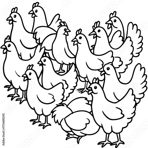 Group of Outline Chickens in a Cluster poultry bird