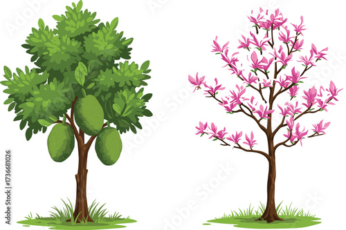 Fruit tree, flowering tree, botanical contrast, green foliage, pink blossoms, nature illustration, tropical plants, garden scene, tree comparison, outdoor landscape